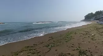Sakarya ve Düzce'de Denize Giriş Yasağı İlan Edildi