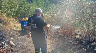 Samsun'da Fındık Bahçesinde Yangın