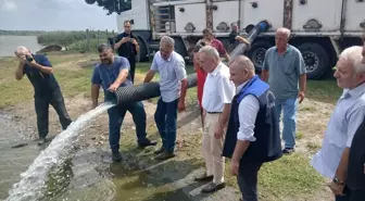 Samsun'da İç Su Kaynaklarına 2 Milyon Yavru Sazan Salındı