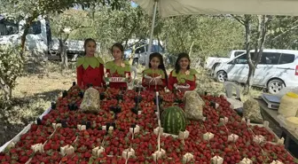 Samsun Alaçam'da Çilek Festivali Düzenlendi