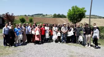 8. Samsun Yöresel Ot Yemekleri Festivali Başladı