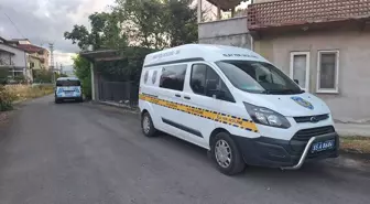 Ağaçtan Düşen Kadın Hastaneye Kaldırıldı