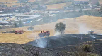 Samsun'da Anız Yangını: 10 Dekar Tarım Arazisi Zarar Gördü