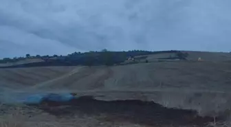 Samsun'da Anız Yangını Kontrol Altına Alındı