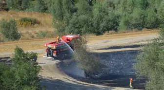 Samsun'da Anız Yangınları Kontrol Altına Alındı