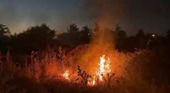 Samsun Alaçam'da Kıyıda Yangın Kontrol Altına Alındı