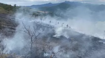 Bafra'da Çıkan Örtü Yangını Kontrol Altına Alındı
