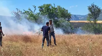 Vezirköprü'de Yangın: 30 Dönüm Buğday Arazisi Zarar Gördü