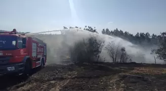 Samsun'da Tarım Arazisinde Yangın: 40 Dönüm Zarar Gördü