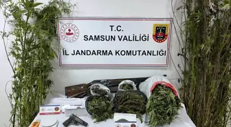 Samsun'da 9 Kilo Esrar Ele Geçirildi
