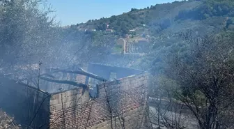 Bafra'da Fındık Bahçesinde Yangın Çıktı