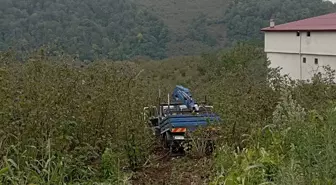 Samsun'da Kamyonet Fındık Bahçesine Yuvarlandı: 3 Yaralı