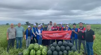 Samsun'da Gençler Karpuz Hasatında Gönüllü Oldu