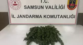 Samsun'da Uyuşturucu Operasyonu: 700 Gram Esrar Ele Geçirildi