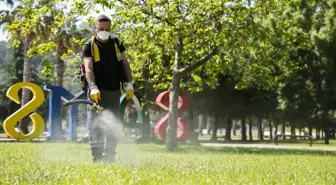 Samsun'da Kene Vakalarına Karşı İlaçlama Seferberliği