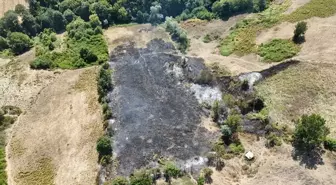 Samsun'da Tarlada Çıkan Yangın Kontrol Altına Alındı