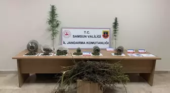 Samsun'da Uyuşturucu Operasyonu: 1 Gözaltı