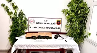 Samsun Ayvacık'ta Uyuşturucu Operasyonu: 1 Gözaltı