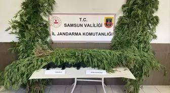 Samsun'da Uyuşturucu Operasyonu: 2 Gözaltı
