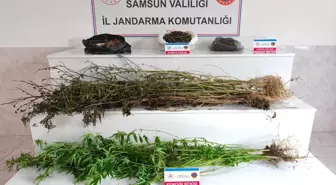 Bafra'da Uyuşturucu Operasyonu: 2 Şüpheli Tutuklandı
