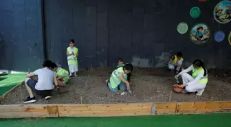Samsun'da Arkeolojiyi Sevdirmek İçin Kazı Etkinliği Düzenlendi