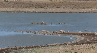 Sulutepe Göleti Kuruma Tehlikesiyle Karşı Karşıya