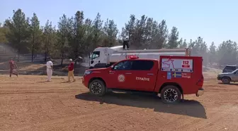 Şanlıurfa'da Orman Yangını Söndürüldü
