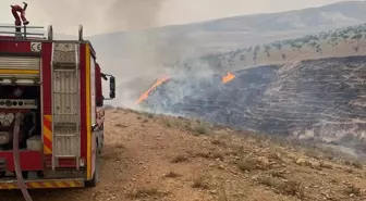 Şanlıurfa'da Çıkan Örtü Yangını Kontrol Altına Alındı