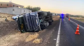 Şanlıurfa'da Hayvan Yüklü Tırın Devrilmesi: 2 Yaralı, 5 Hayvan Telef