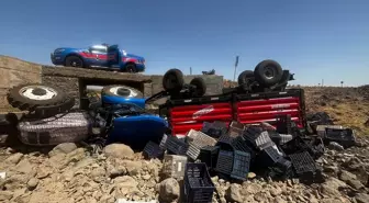 Siverek'te Devrilen Traktörde Sürücü Yaralandı