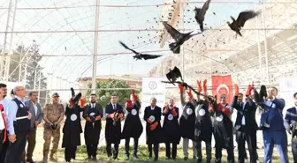 Kelaynakların Doğaya Salınması: 45 Kuş Göç İçin Bırakıldı