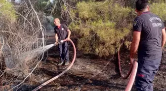 Şanlıurfa'da Otluk Alanda Çıkan Yangın Kontrol Altına Alındı