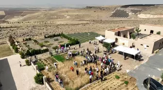 Slow Wheat Şanlıurfa 2025 Etkinliği Başladı