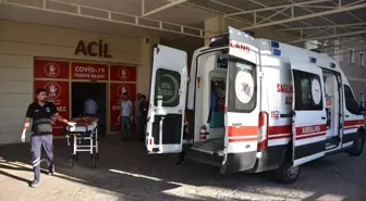 Şanlıurfa'da Tır Çarpan Yaşlı Kadın Hayatını Kaybetti