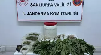 Suruç'ta Uyuşturucu Operasyonunda 1 Gözaltı