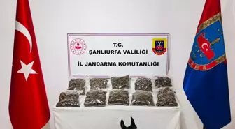 Şanlıurfa'da Uyuşturucu Operasyonu: 6 Tutuklama