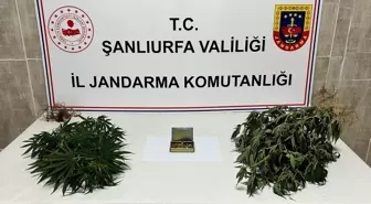 Şanlıurfa'da Uyuşturucu ve Silah Kaçakçılığı Operasyonu: 6 Gözaltı