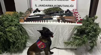Harran'da Uyuşturucu ve Silah Kaçakçılığı Operasyonu: 3 Gözaltı