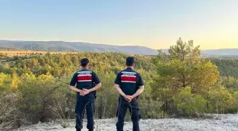 Saraydüzü'nde Orman Yangınlarına Karşı Denetim