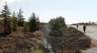 Konya'da D300 Kara Yolu Kenarında Yangın Korkuttu