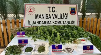 Manisa'da Uyuşturucu Operasyonu: Bir Kişi Gözaltına Alındı