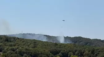 Sarıyer'de Orman Yangınına Havadan ve Karadan Müdahale