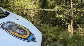 Sarıyer'de Ormanlık Alanda Erkek Cesedi Bulundu