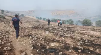 Mardin Savur'da Orman Yangını Kontrol Altına Alındı