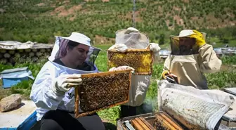 Şehir Hayatından Uzaklaşan Çift, Arıcılıkla Başarıya Koşuyor