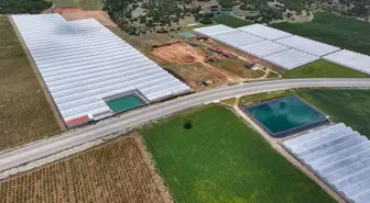 Seracılığın merkezi Elmalı'da kuraklığa 'yağmur suyu hasadı' ile çözüm