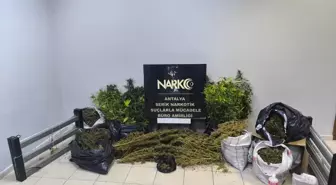 Serik'te Uyuşturucu Operasyonu: 20 Kilo Esrar Ele Geçirildi