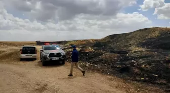 Siirt'te Buğday Ekili Arazide Yangın Çıktı