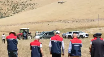 Siirt'te Çekirgelerle Mücadele İçin Dronla İlaçlama Başlatıldı
