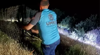 Siirt'te Kayalıktan Düşen Çocuk Kurtarıldı